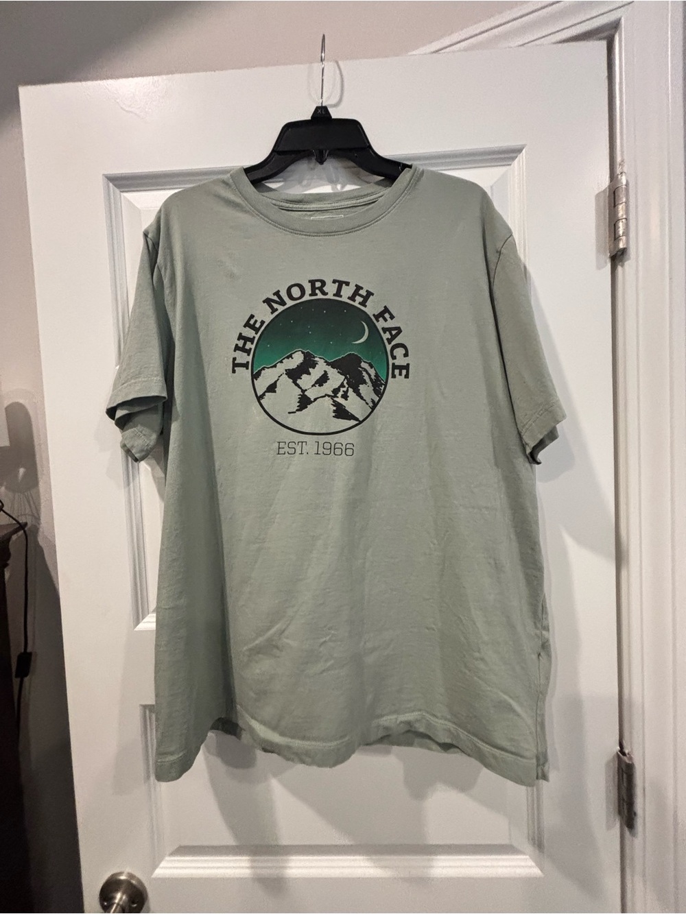 The North Face Men's Evolution Mountain Woods Short-Sleeve Tee